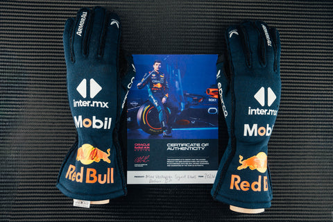 Max Verstappen 2024 Gloves