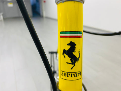 ferrari coppi bike