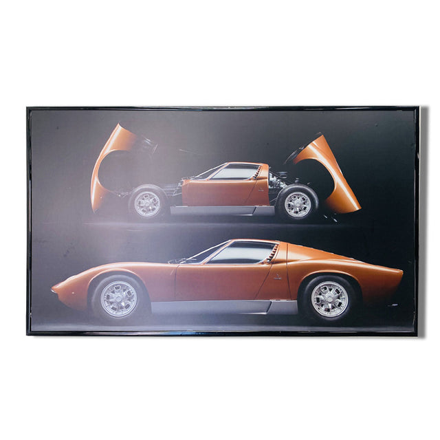 Miura Panel