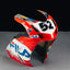 James Toseland Ducati Fairing