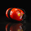 Michael Schumacher Signed Headphones