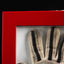 1124 - NIki LAuda 1975 Gloves