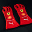 1103 - Charles leclerc 2025 Las Vegas Gloves