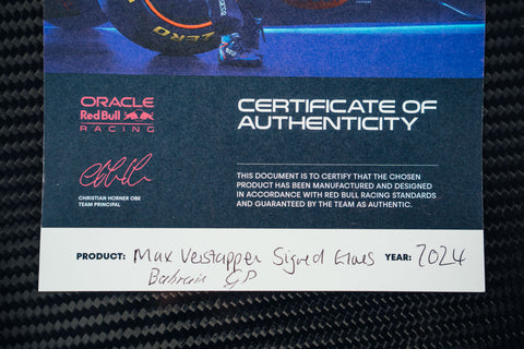 Max Verstappen 2024 Gloves
