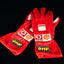 Michael Schumacher signed gloves