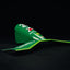 Jordan  F1 191 Nosecone