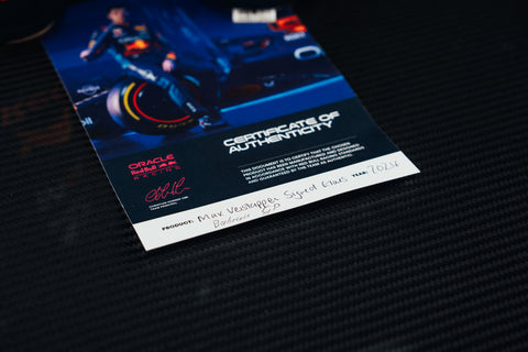 Max Verstappen 2024 Gloves