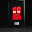 1097 - Ayrton Senna Replica Gloves by Stand21