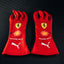 1103 - Charles leclerc 2025 Las Vegas Gloves