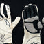 Michael Schumacher  2010 Gloves