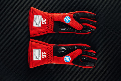 1103 - Charles leclerc 2025 Las Vegas Gloves