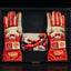 rubens barrichello signed gloves