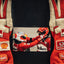 rubens barrichello signed gloves
