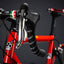 colnago schumacher