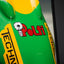 benetton b193 nose