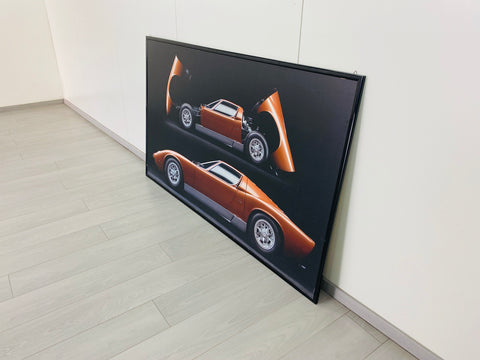 miura panel