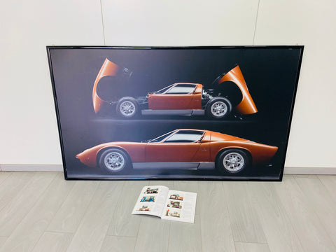 miura panel
