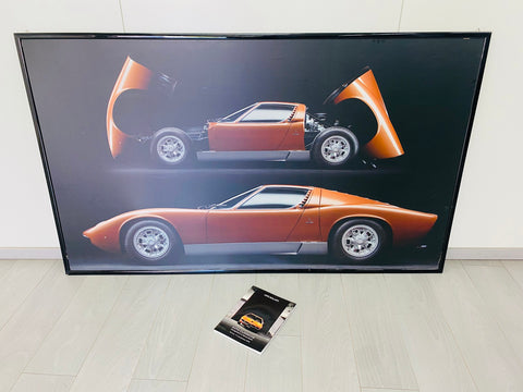 miura panel
